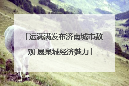 运满满发布济南城市数观 展泉城经济魅力