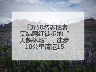 近50名志愿者集结网红徒步地“天鹅林场”，徒步10公里清运150余斤山野垃圾
