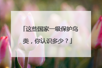 这些国家一级保护鸟类，你认识多少？