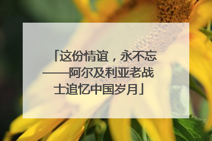这份情谊，永不忘——阿尔及利亚老战士追忆中国岁月