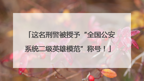这名刑警被授予“全国公安系统二级英雄模范”称号！