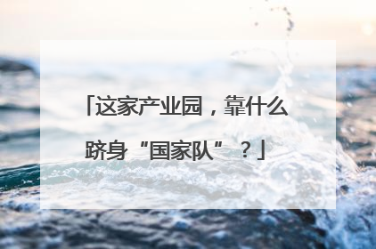 这家产业园，靠什么跻身“国家队”？