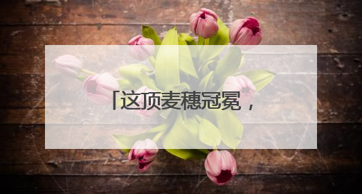 这顶麦穗冠冕，与拿破仑有关