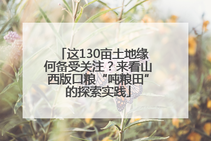 这130亩土地缘何备受关注？来看山西版口粮“吨粮田”的探索实践