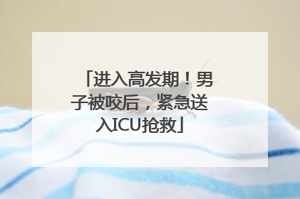 进入高发期！男子被咬后，紧急送入ICU抢救