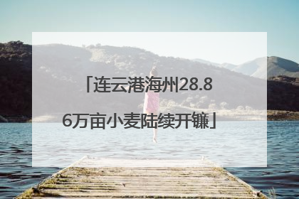 连云港海州28.86万亩小麦陆续开镰