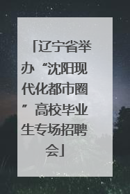 辽宁省举办“沈阳现代化都市圈”高校毕业生专场招聘会