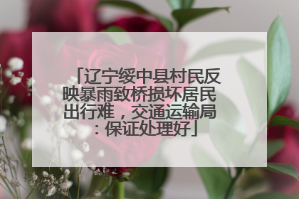 辽宁绥中县村民反映暴雨致桥损坏居民出行难，交通运输局：保证处理好