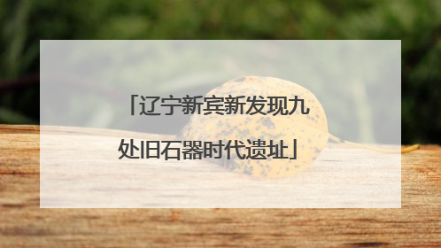 辽宁新宾新发现九处旧石器时代遗址
