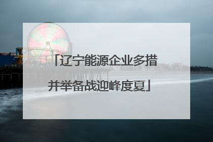 辽宁能源企业多措并举备战迎峰度夏