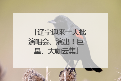 辽宁迎来一大批演唱会、演出！巨星、大咖云集