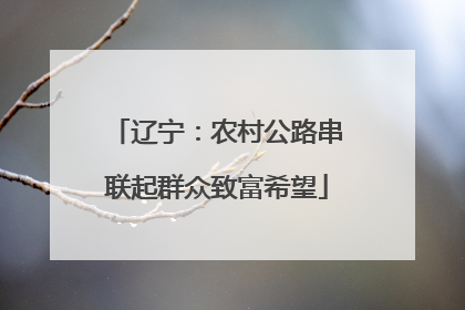 辽宁：农村公路串联起群众致富希望