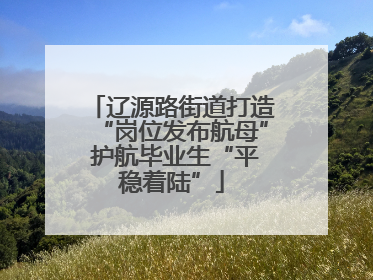 辽源路街道打造“岗位发布航母” 护航毕业生“平稳着陆”