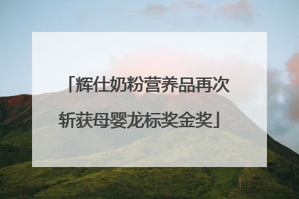 辉仕奶粉营养品再次斩获母婴龙标奖金奖