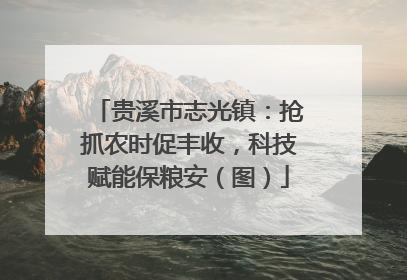 贵溪市志光镇：抢抓农时促丰收，科技赋能保粮安（图）