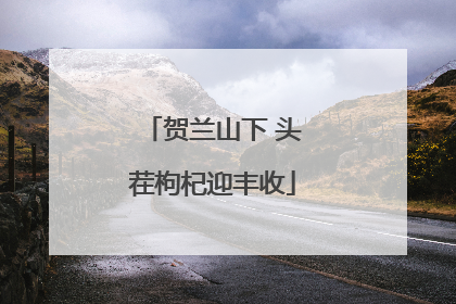 贺兰山下 头茬枸杞迎丰收