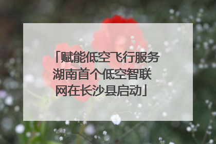 赋能低空飞行服务 湖南首个低空智联网在长沙县启动