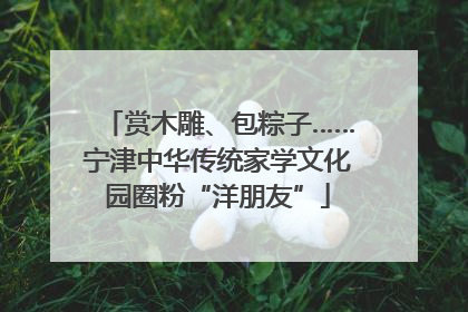 赏木雕、包粽子……宁津中华传统家学文化园圈粉“洋朋友”