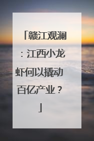 赣江观澜：江西小龙虾何以撬动百亿产业？