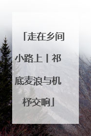 走在乡间小路上丨祁底麦浪与机杼交响
