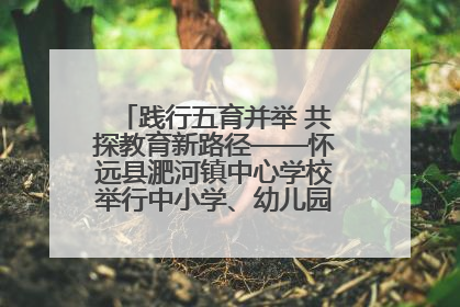 践行五育并举 共探教育新路径——怀远县淝河镇中心学校举行中小学、幼儿园班主任论坛活动
