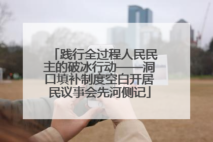 践行全过程人民民主的破冰行动——洞口填补制度空白开居民议事会先河侧记