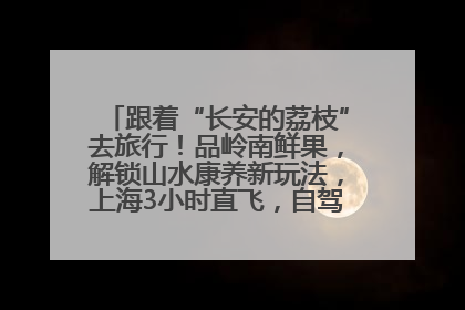 跟着“长安的荔枝”去旅行！品岭南鲜果，解锁山水康养新玩法，上海3小时直飞，自驾高速费优惠