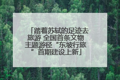 踏着苏轼的足迹去旅游 全国首条文物主题游径“东坡行旅”首期建设上新