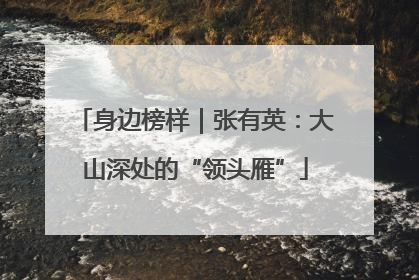 身边榜样｜张有英：大山深处的“领头雁”