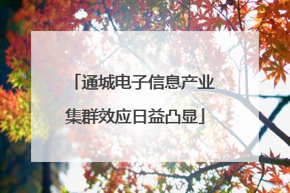 通城电子信息产业集群效应日益凸显