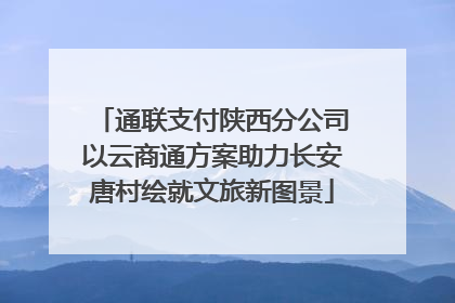通联支付陕西分公司以云商通方案助力长安唐村绘就文旅新图景