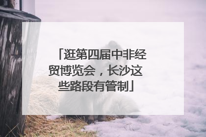 逛第四届中非经贸博览会，长沙这些路段有管制
