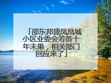 邵东邦盛凤凰城小区业委会筹备十年未果，相关部门回应来了