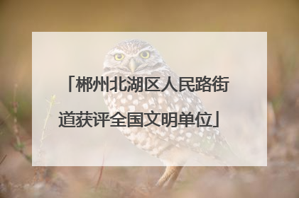 郴州北湖区人民路街道获评全国文明单位