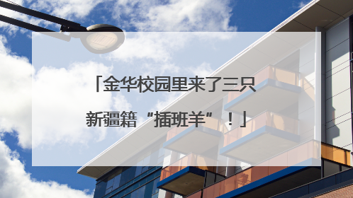 金华校园里来了三只新疆籍“插班羊”！