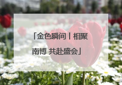 金色瞬间丨相聚南博 共赴盛会