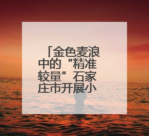金色麦浪中的“精准较量”石家庄市开展小麦机收减损大比武