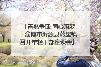 青燕争锋 同心筑梦丨淄博市沂源县燕崖镇召开年轻干部座谈会