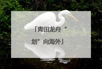 青田龙舟“划”向海外