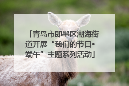 青岛市即墨区潮海街道开展“我们的节日•端午”主题系列活动