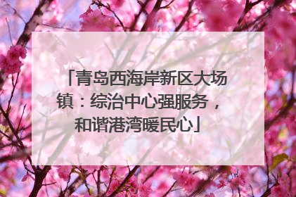青岛西海岸新区大场镇：综治中心强服务，和谐港湾暖民心