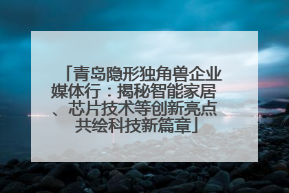 青岛隐形独角兽企业媒体行：揭秘智能家居、芯片技术等创新亮点 共绘科技新篇章