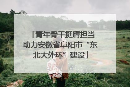 青年骨干挺膺担当 助力安徽省阜阳市“东北大外环”建设
