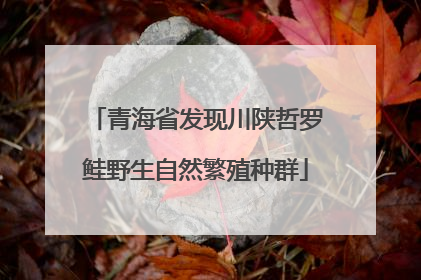 青海省发现川陕哲罗鲑野生自然繁殖种群