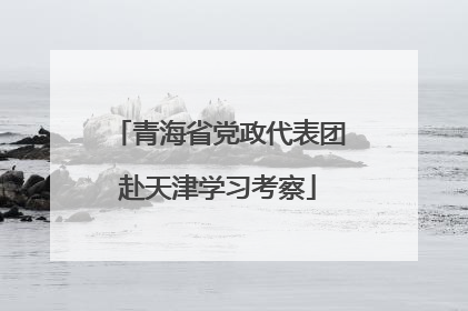 青海省党政代表团赴天津学习考察