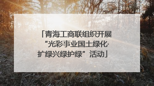 青海工商联组织开展“光彩事业国土绿化·扩绿兴绿护绿”活动