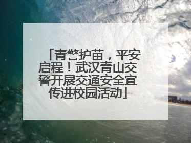 青警护苗，平安启程！武汉青山交警开展交通安全宣传进校园活动