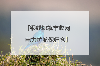 银线织就丰收网 电力护航保归仓