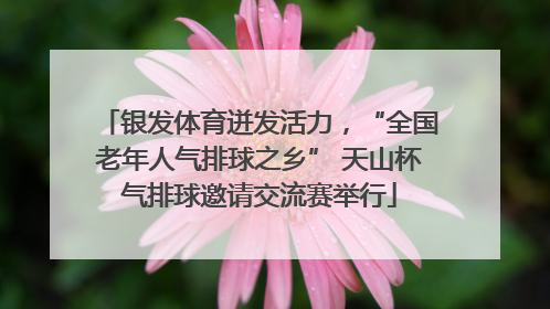 银发体育迸发活力，“全国老年人气排球之乡” 天山杯气排球邀请交流赛举行