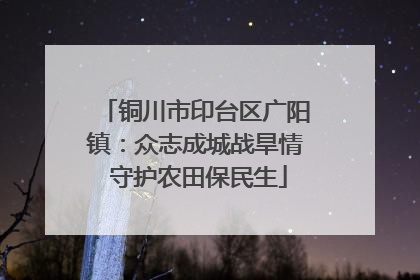 铜川市印台区广阳镇：众志成城战旱情 守护农田保民生